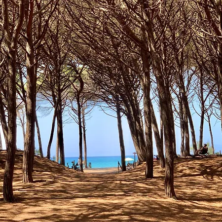 Le Soleil *